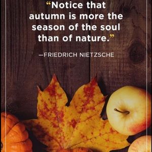 FALL FOR FALL CLOTHES